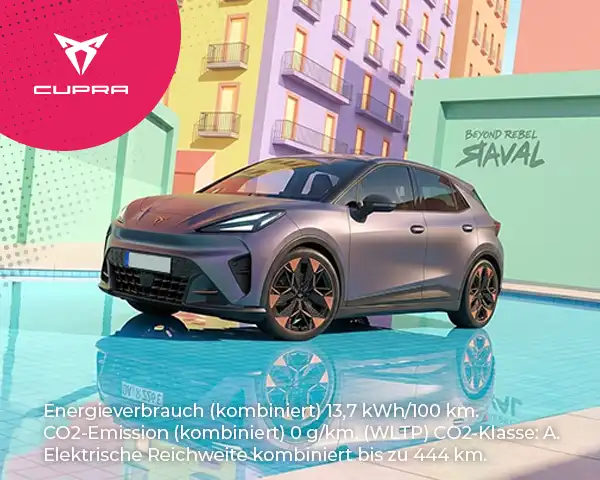 Cupra Raval